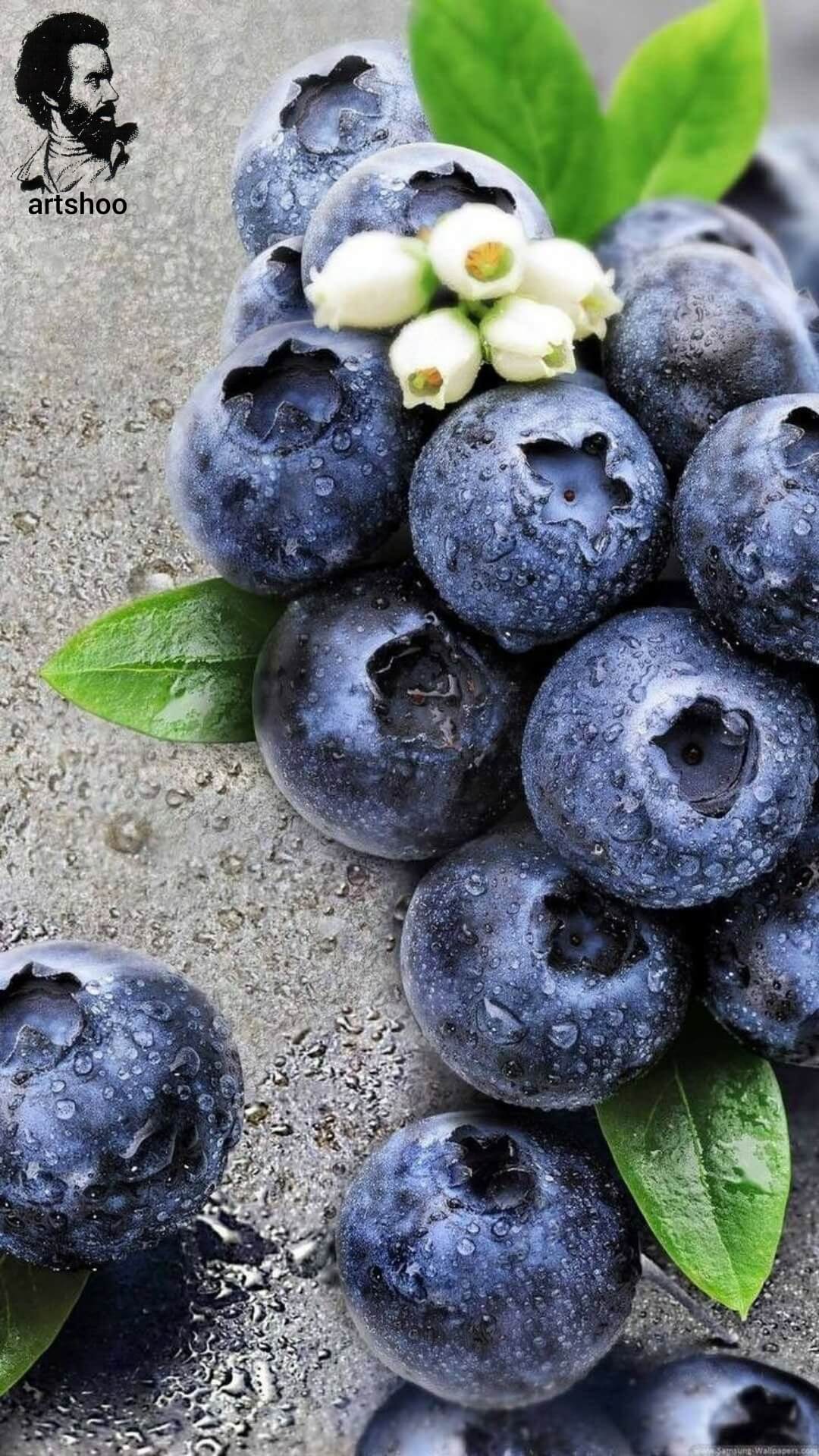 آموزش نقاشی رنگ روغن